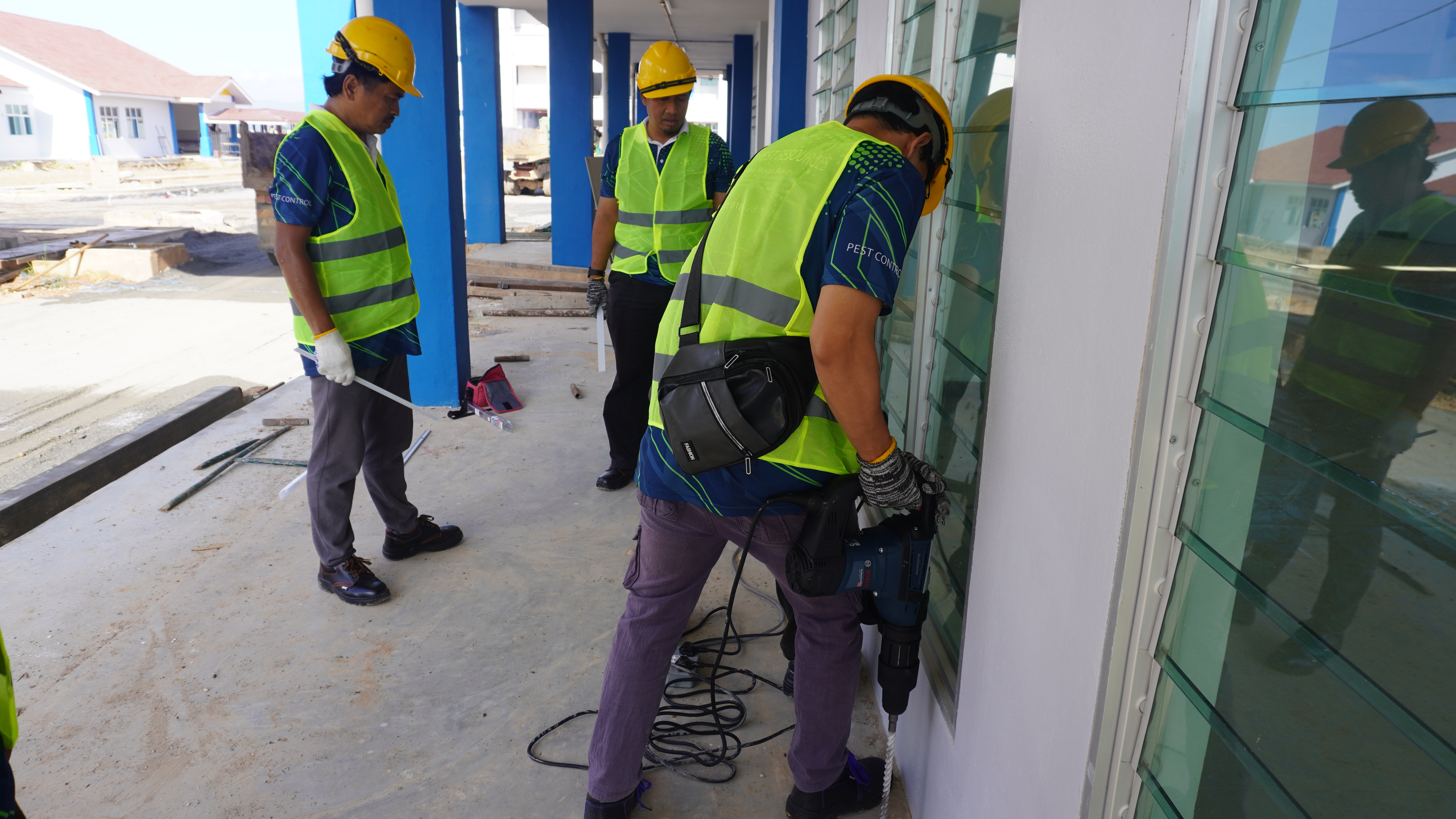 Termite Management & Prevention
